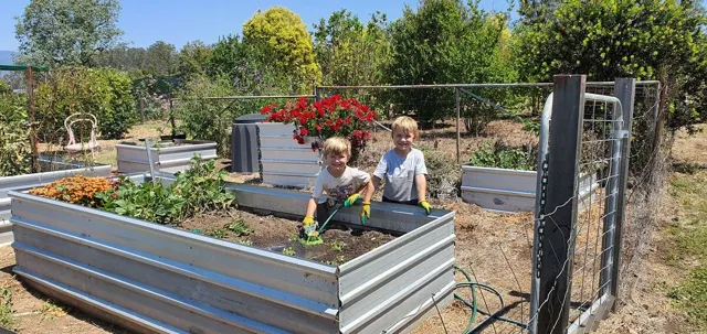 Helping in the vegetable garden