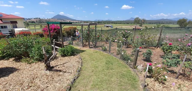 Garden beds and the farmhouse beyond