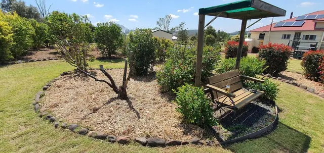 The vegetable garden paths