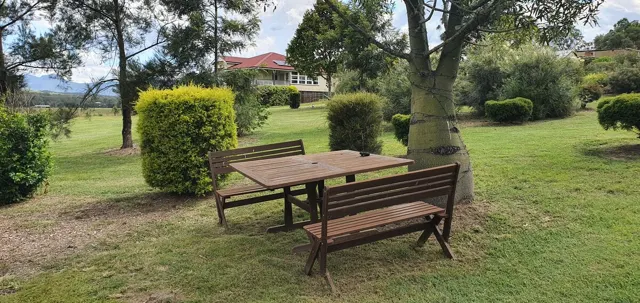 A quiet bench beneath the trees
