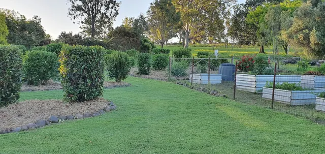 Raised vegetable beds
