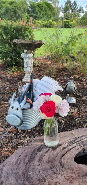 Colourful characters in the garden