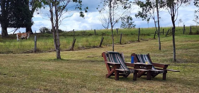 Chairs beneath the trees