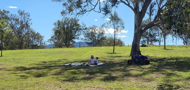 The swing beneath the trees
