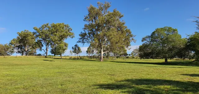 Open space beneath a blue sky