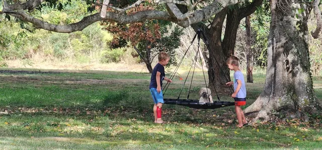 Children enjoying the garden swing