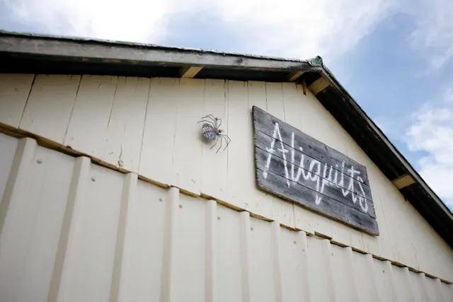 The Mountview shed sign