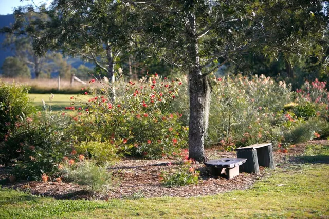 A quiet corner beneath the trees