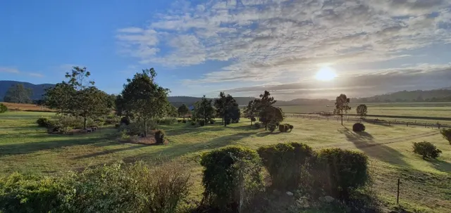 Sunrise across the gardens