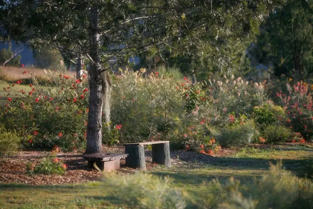 A shaded place to sit