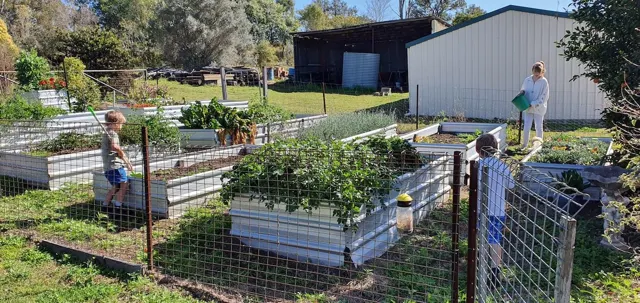 Tending the vegetable garden