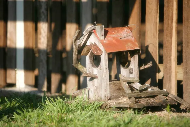 A little birdhouse in the garden