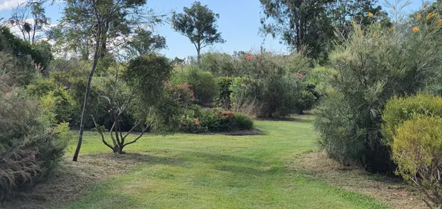 Established trees and open lawns