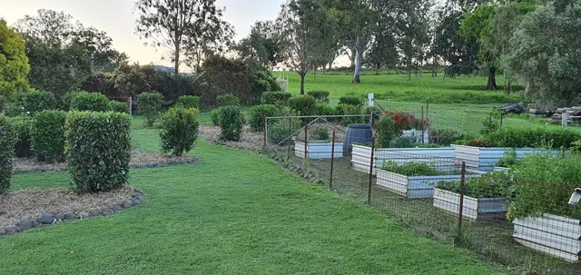 Hedges around the vegetable garden