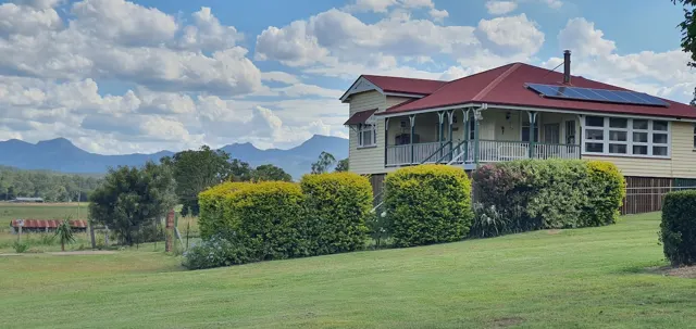 The farmhouse and garden hedges
