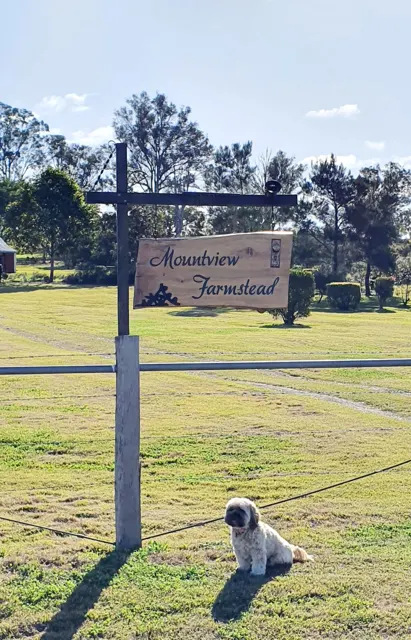 The Mountview sign