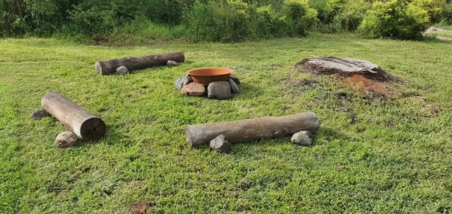 Log seats around the fire pit