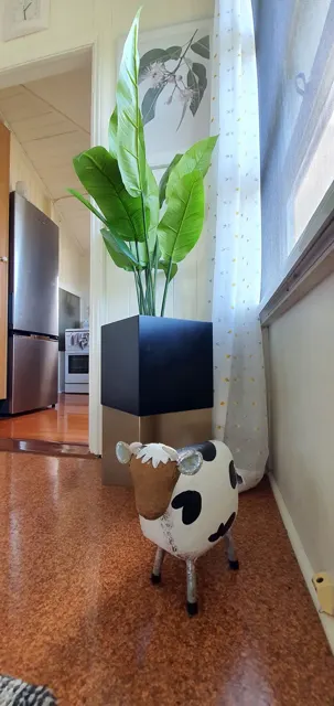 A four-legged friend in the sunroom