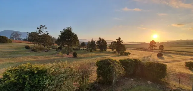 Sunrise above the gardens