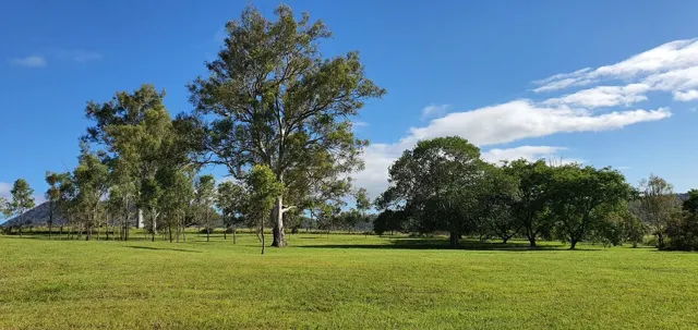 Open country skies