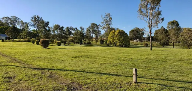 Trees and open country space