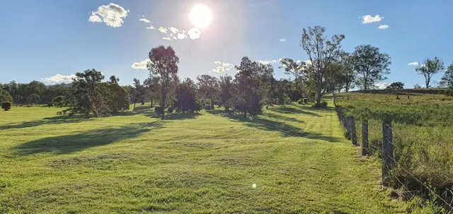 Sunshine over the paddocks