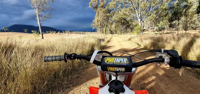 A country ride through the paddock