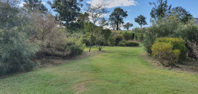 Paths through the native gardens