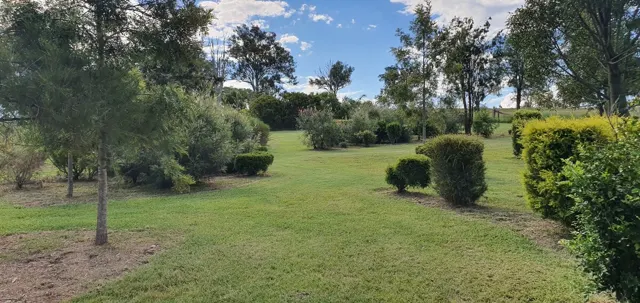 Open lawns and established trees