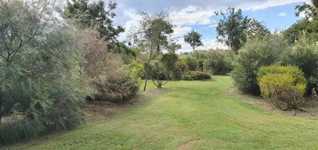A green path through the gardens