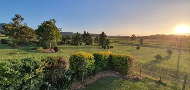 Sunrise beyond the garden hedges