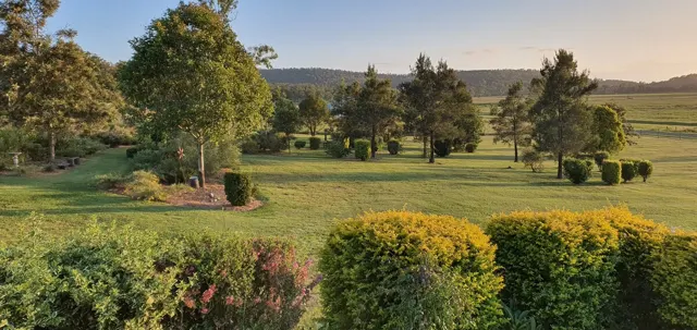 Morning light across the countryside