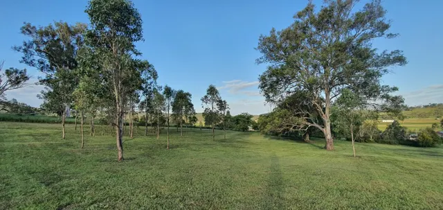 Trees dotted across the lawns