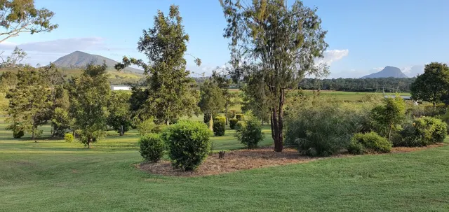 Native planting around the grounds