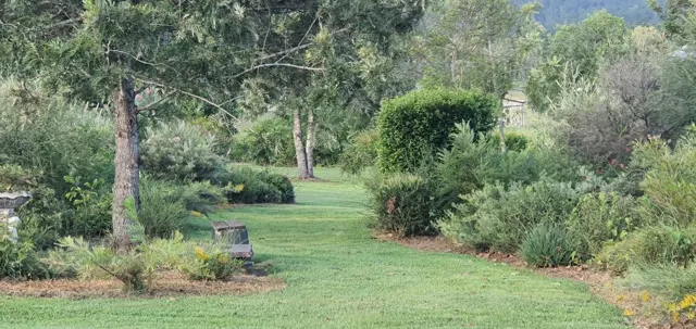 Quiet spaces among the trees