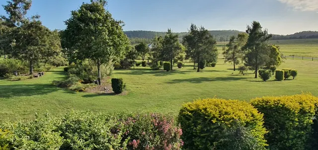 The view across the hedges