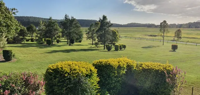 Sunlight across the lawns