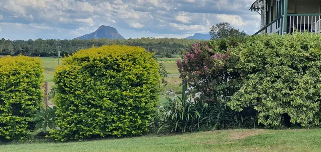 Garden beds beside the farmhouse