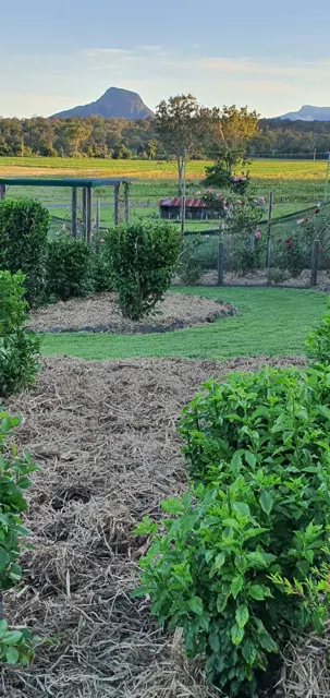 A view into the vegetable patch