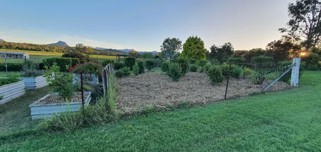 Vegetable gardens in the evening light