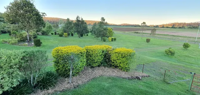 Hedges and garden beds