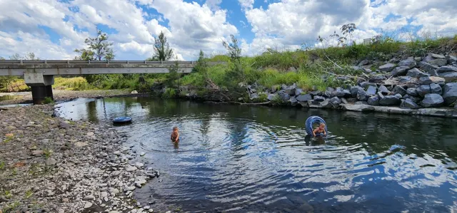 Children playing in the creek