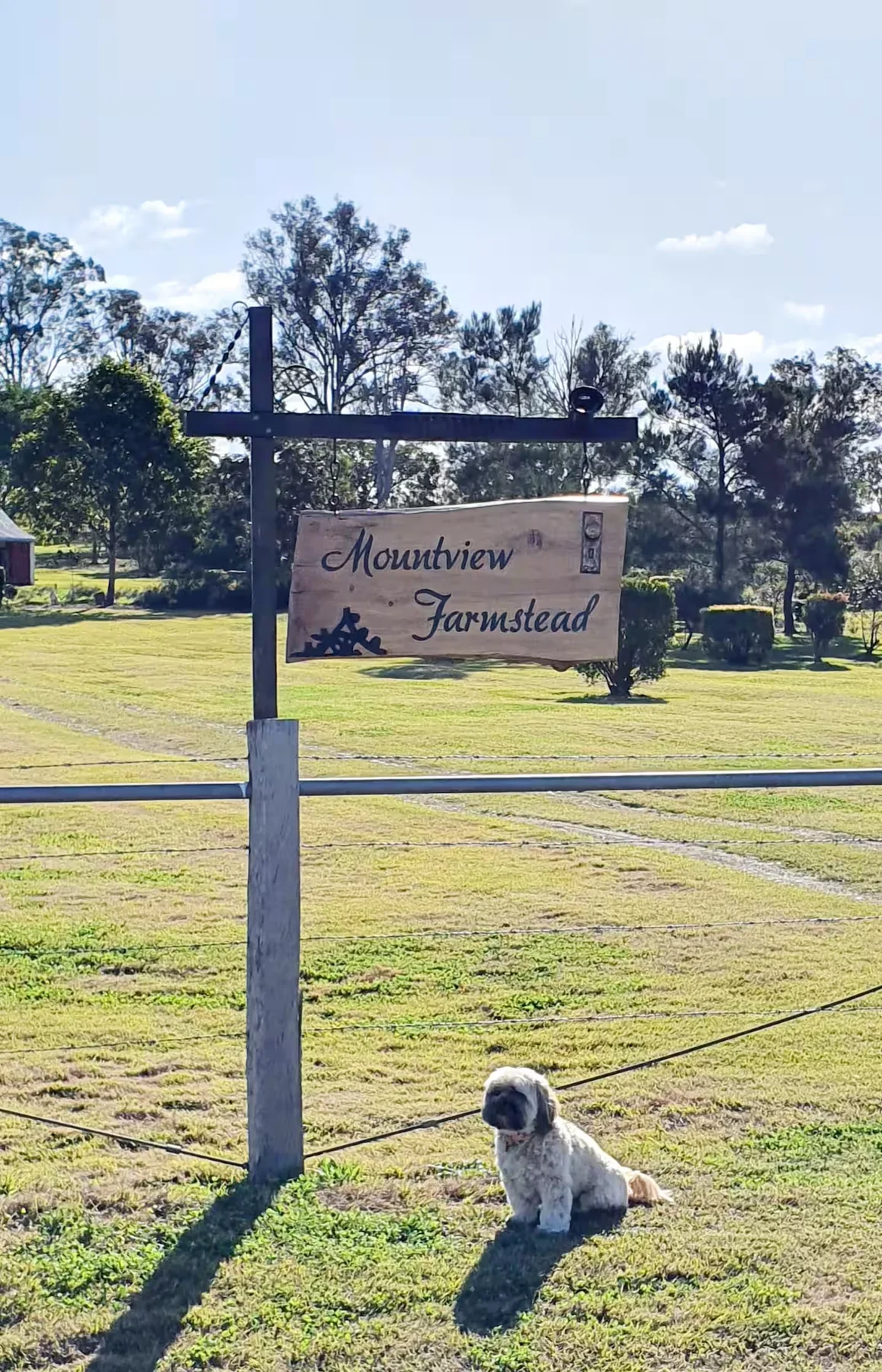 Mountview Farmstead entrance sign with dog