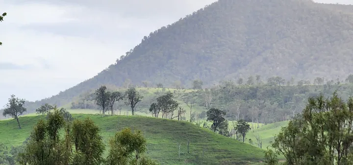 A mountain wrapped in mist