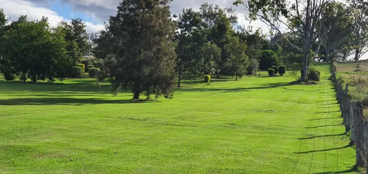 Green lawns and shady trees