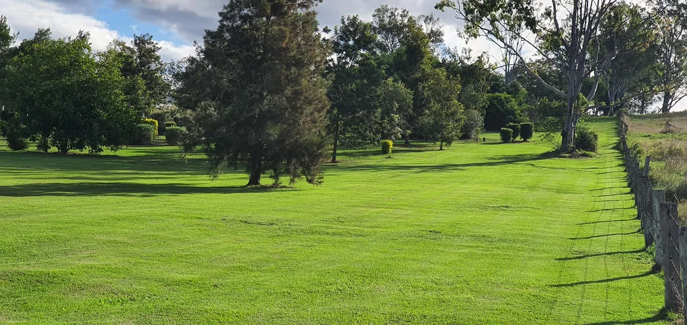Green lawns and established trees at Mountview