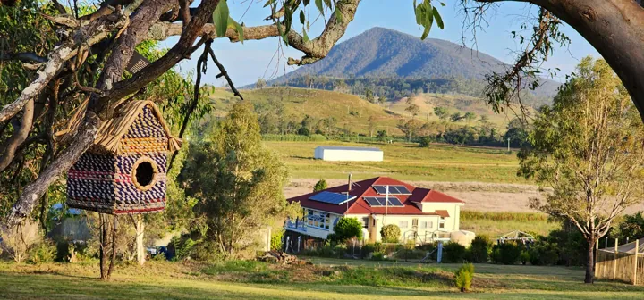 Mountview framed by the trees