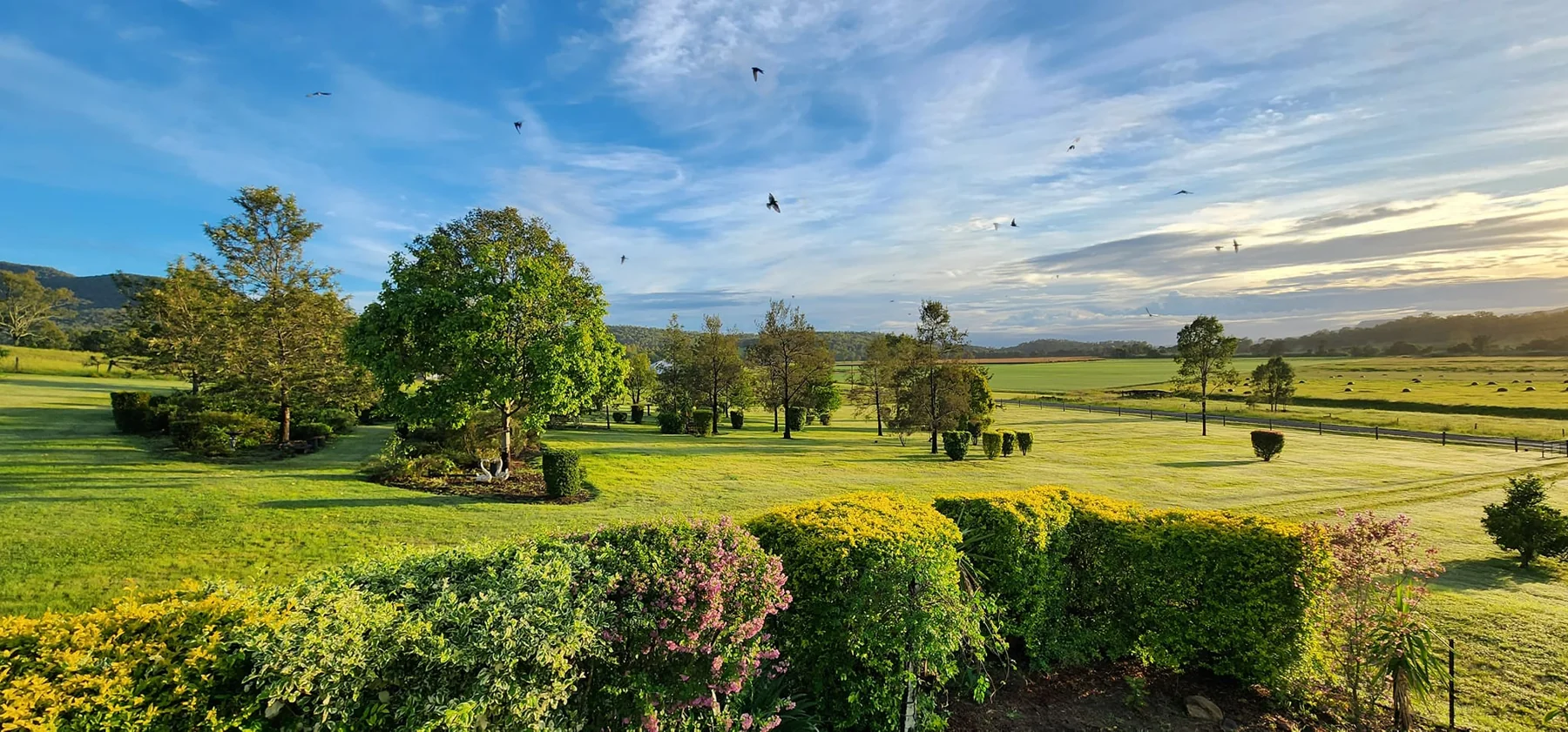 Mountview gardens and farmland beneath a wide Scenic Rim sky